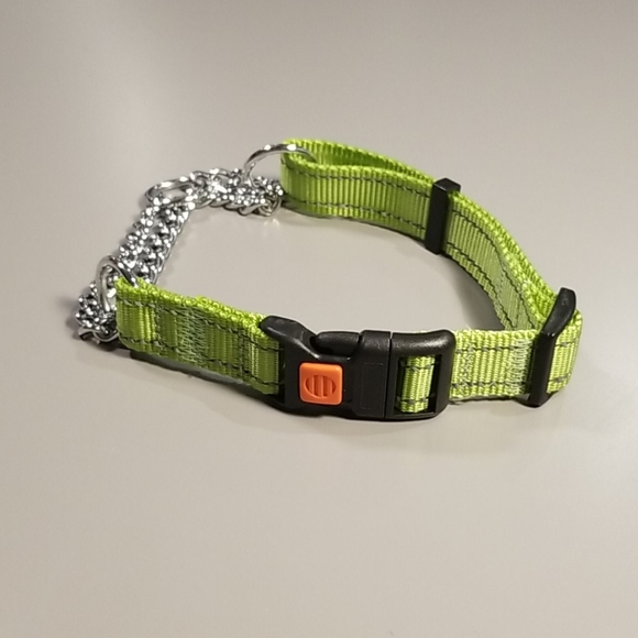 Training collar